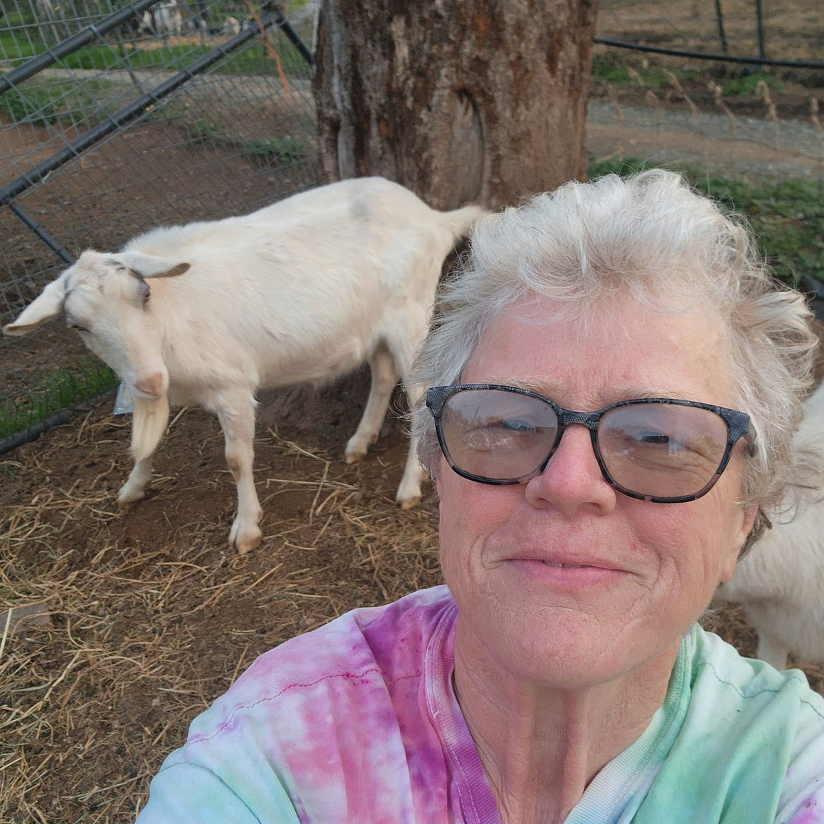 Person with glasses standing next to a goat in an outdoor setting