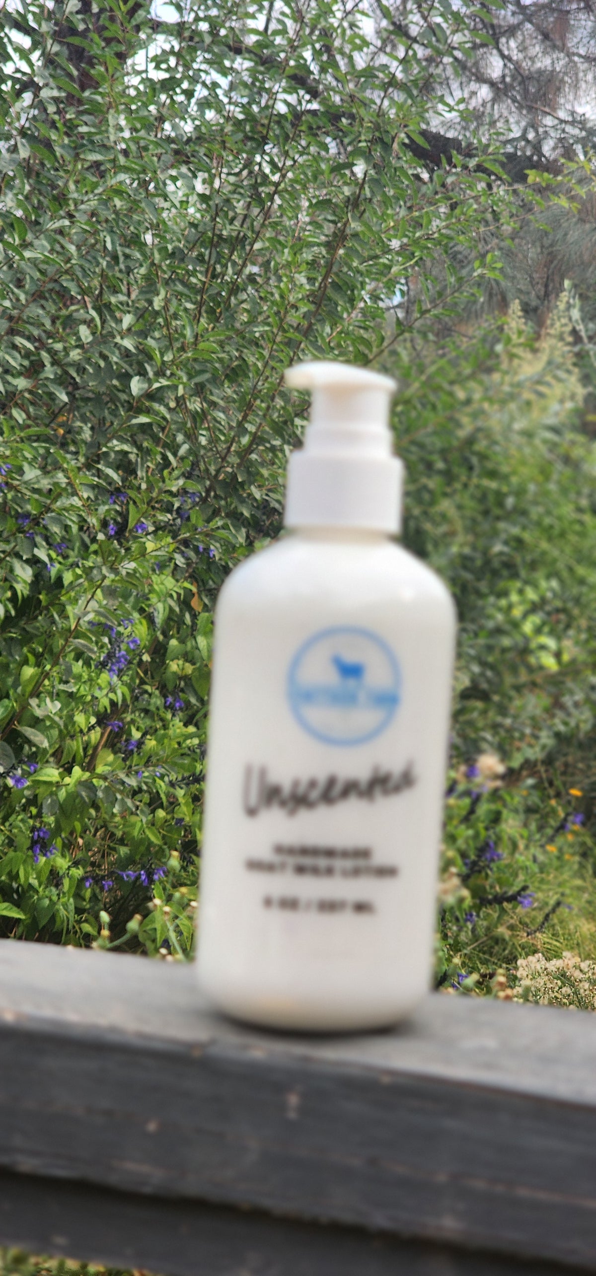 A white pump bottle of unscented lotion with a blue circular logo, sitting on a dark wooden railing with a blurred green garden background.